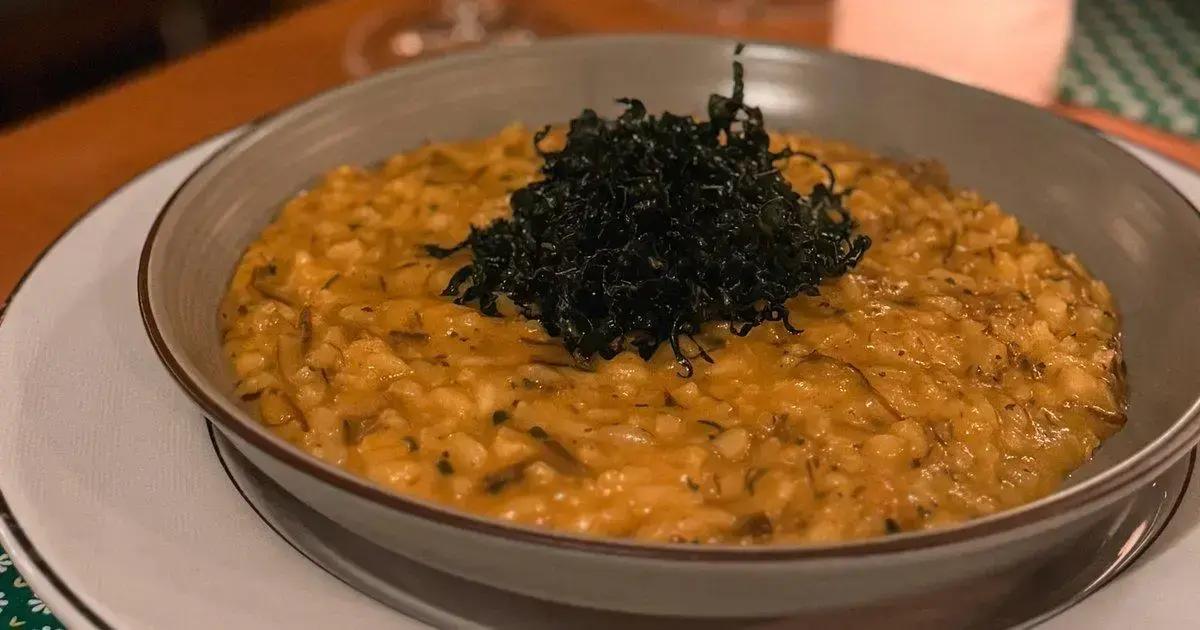 Josephina: um restaurante que une tradição e conforto em Gramado