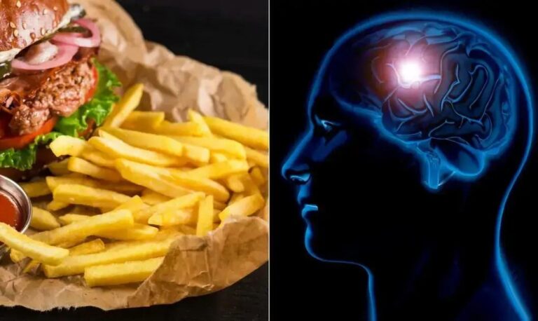 Como a dieta de junk food afeta rapidamente a memória, revela estudo